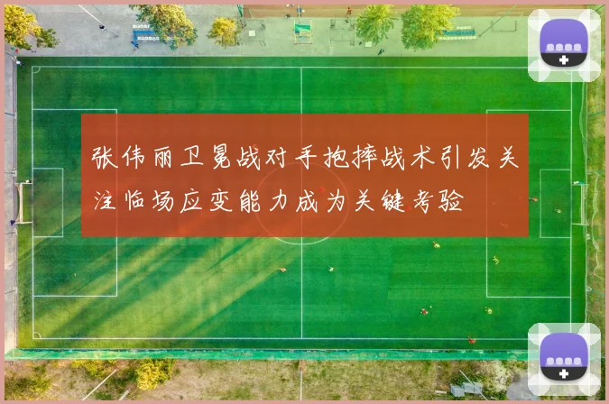 张伟丽卫冕战对手抱摔战术引发关注临场应变能力成为关键考验