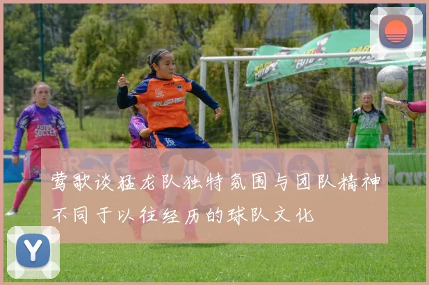 莺歌谈猛龙队独特氛围与团队精神不同于以往经历的球队文化